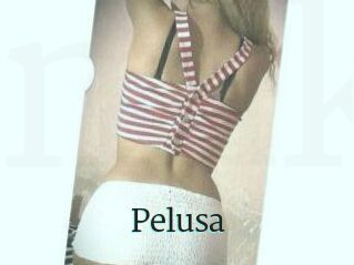 Pelusa