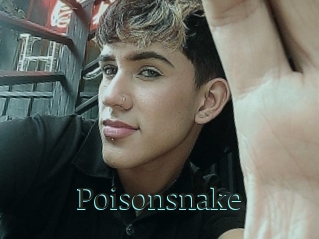 Poisonsnake