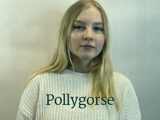 Pollygorse