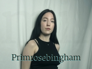 Primrosebingham