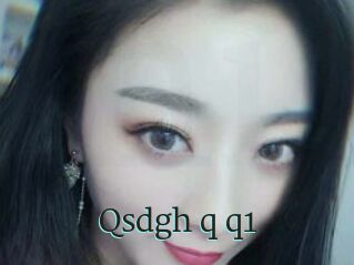 Qsdgh_q_q1