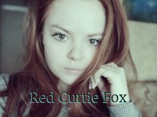 Red_Cuttie_Fox