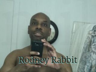 Rodney_Rabbit