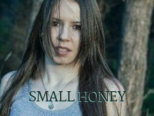 SMALL_HONEY