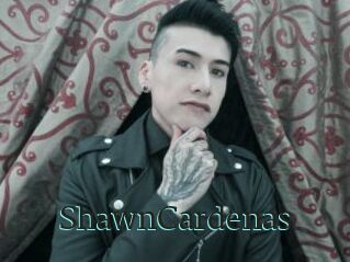 ShawnCardenas
