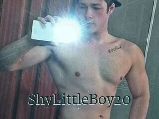 ShyLittleBoy20