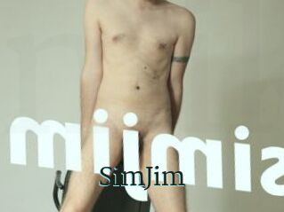 SimJim