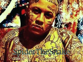 SpiderTheSnake