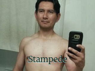 Stampede