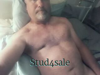 Stud4sale