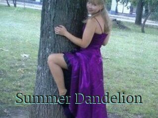 Summer_Dandelion