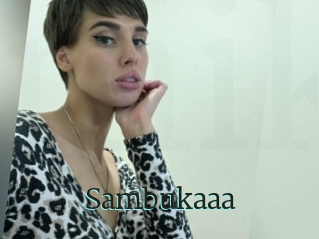 Sambukaaa