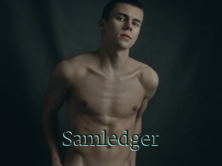 Samledger