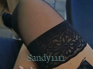 Sandy1111