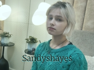 Sandyshayes
