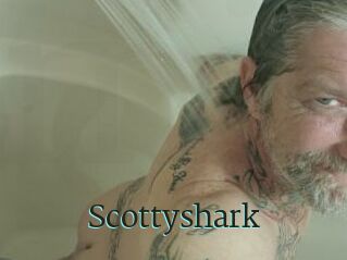 Scottyshark