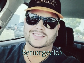 Senorgecko