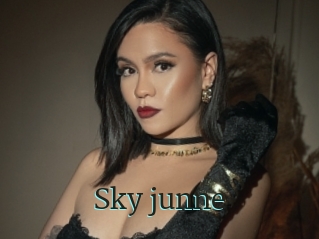 Sky_junne