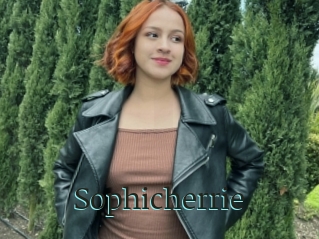 Sophicherrie