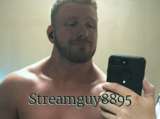 Streamguy8895