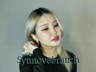 Synnovebranch