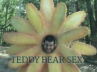 TEDDY_BEAR_SEXY