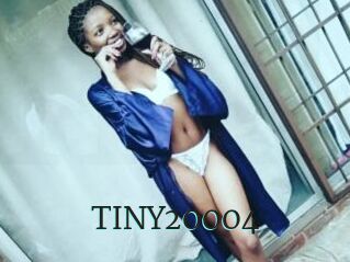 TINY20004