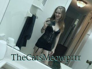 TheCatsMeowprrr