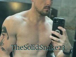 TheSolidSnake23