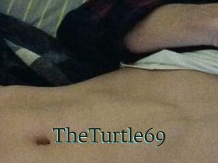 TheTurtle69