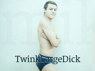 TwinkLargeDick