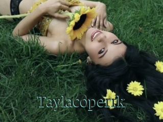 Taylacoperrk