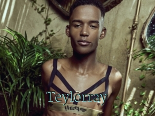 Teylorray
