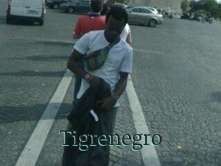 Tigrenegro