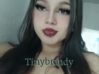 Tinybrandy