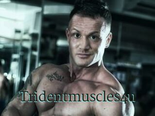 Tridentmuscles4u