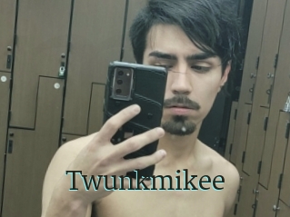 Twunkmikee