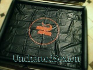 UnchartedSexion