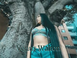 Venus_Walton