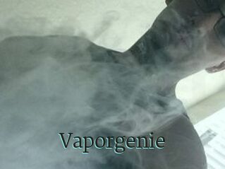 Vapor_genie