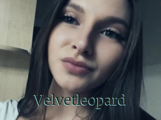Velvetleopard