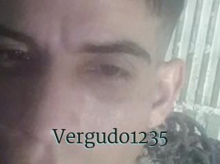 Vergudo1235