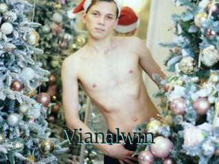 Vianalwin