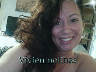 Vivienmolinas