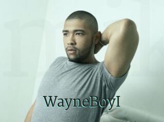 WayneBoyI