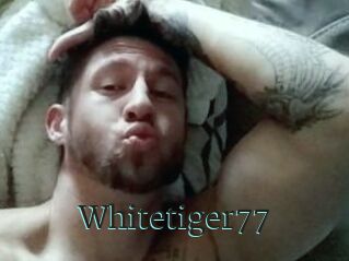 Whitetiger77