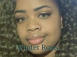 Winter_Rosea