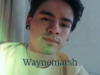 Waynemarsh