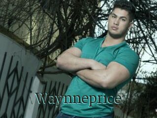 Waynneprice