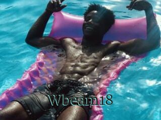 Wbeam18